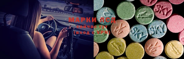 прущие крисы Каменка