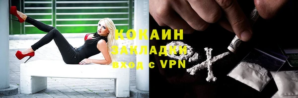 прущие крисы Каменка