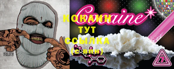 дмт Каменногорск