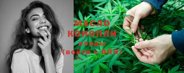 прущие крисы Каменка